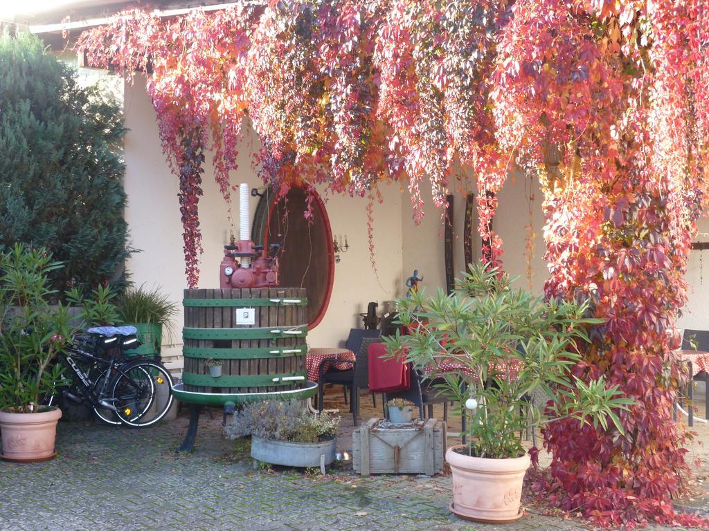 Weingut-Brennerei-Gästehaus Emil Dauns Reil Exterior foto